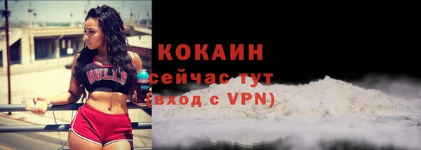 стаф Балахна