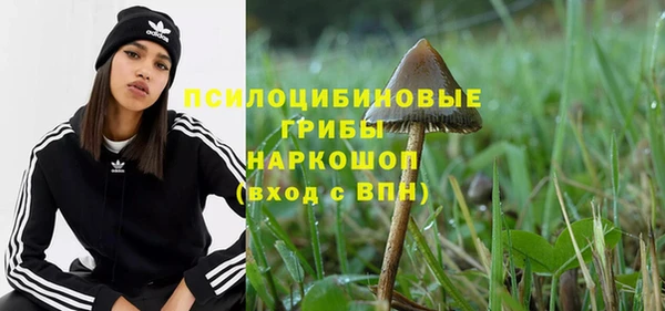 стаф Балахна