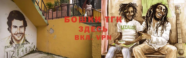 стаф Балахна