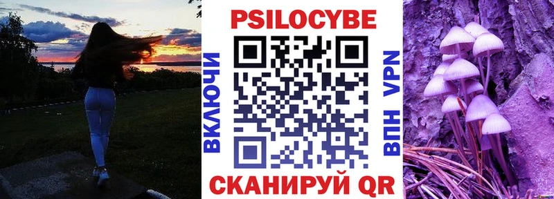 продажа наркотиков  Велиж  Псилоцибиновые грибы прущие грибы 